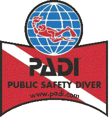 Padi