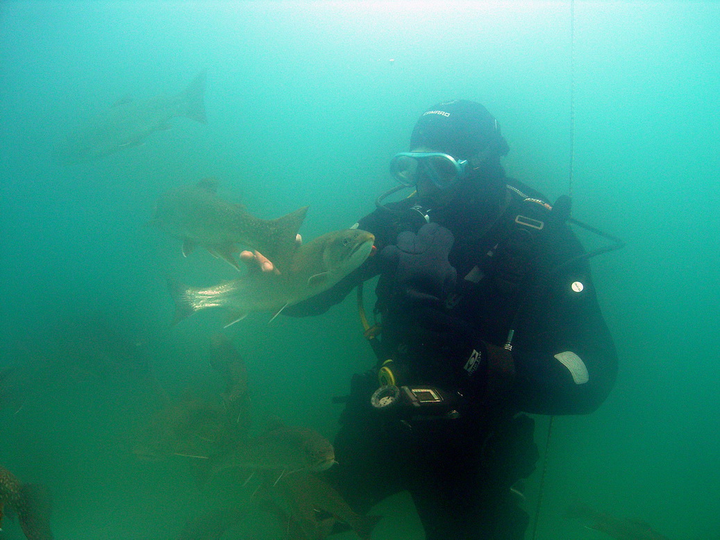 Fische hautnah!